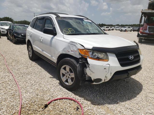 HYUNDAI SANTA FE G 2009 with VIN 5NMSG13DX9H272853 - Photo from auction