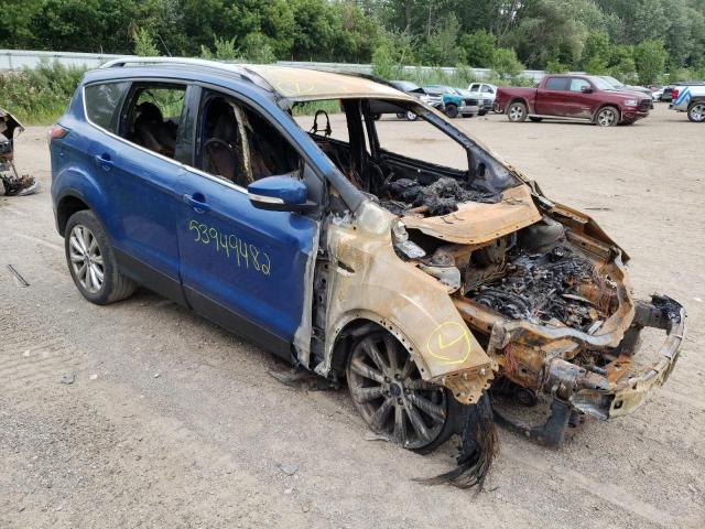 FORD ESCAPE TIT 2017 with VIN 1FMCU9JD0HUA32065 - Photo from auction