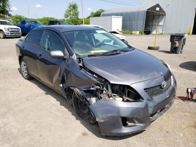 TOYOTA COROLLA BA 2009 with VIN 2T1BU40EX9C160986 - Photo from auction