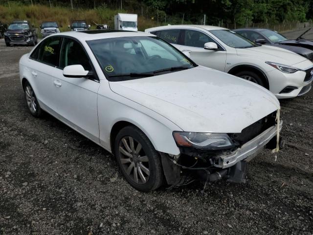 AUDI A4 PREMIUM 2010 with VIN WAUFFAFL8AN010535 - Photo from auction