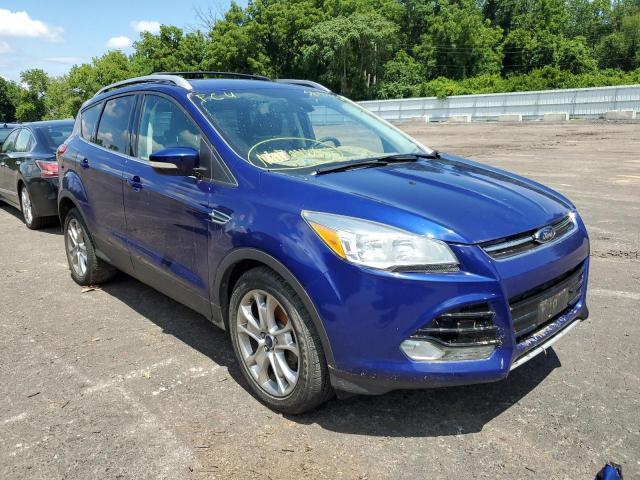 FORD ESCAPE TIT 2014 with VIN 1FMCU0JX9EUC21377 - Photo from auction