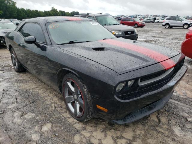 DODGE CHALLENGER 2013 with VIN 2C3CDYAG8DH595598 - Photo from auction