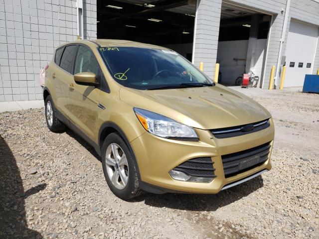 FORD ESCAPE SE 2014 with VIN 1FMCU9GX2EUC51901 - Photo from auction