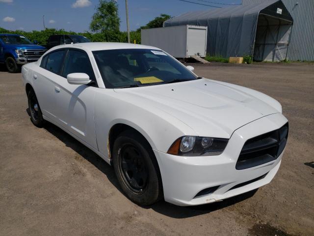 DODGE CHARGER PO 2014 with VIN 2C3CDXAG5EH217279 - Photo from auction