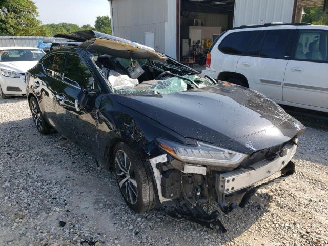 Photo 1 from auction – 2019 NISSAN MAXIMA S with VIN 1N4AA6AV8KC360137
