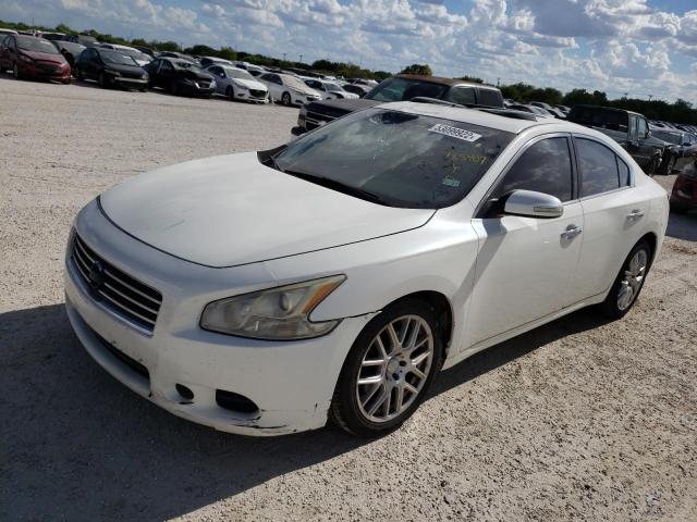 Photo 2 from auction – 2009 NISSAN MAXIMA S with VIN 1N4AA51E89C831627