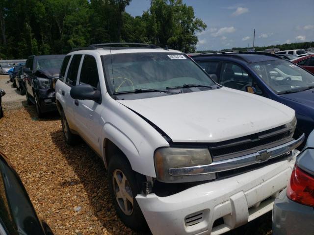 Photo 1 from auction – 2006 CHEVROLET TRAILBLAZE with VIN 1GNDS13SX62287155