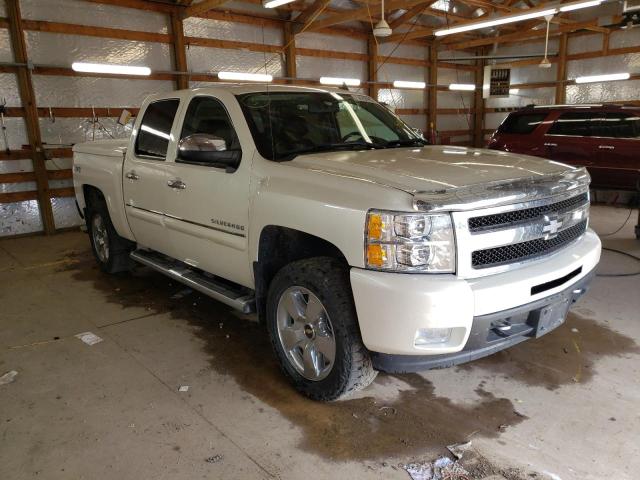 CHEVROLET SILVERADO 2011 with VIN 3GCPKTE31BG179905 - Photo from auction