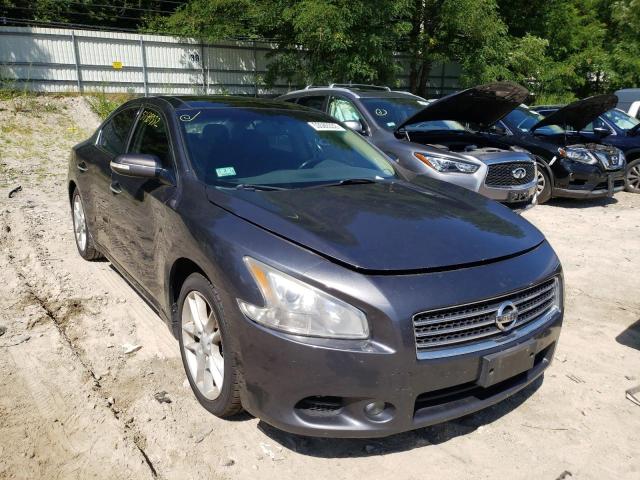 NISSAN MAXIMA S 2011 with VIN 1N4AA5AP4BC831499 - Photo from auction