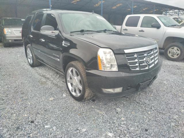 CADILLAC ESCALADE P 2010 with VIN 1GYUKCEF7AR237764 - Photo from auction
