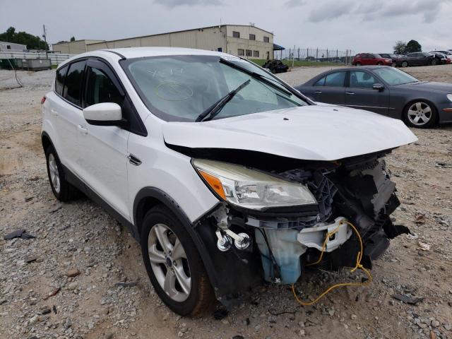 FORD ESCAPE SE 2014 with VIN 1FMCU0GX0EUB76207 - Photo from auction
