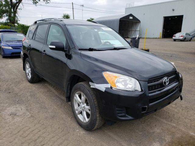 TOYOTA RAV4 2011 with VIN 2T3BF4DV2BW141655 - Photo from auction