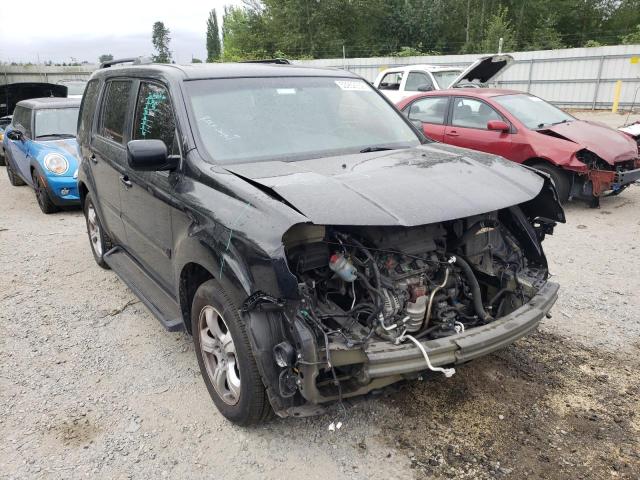 HONDA PILOT EXL 2013 with VIN 5FNYF4H59DB004080 - Photo from auction