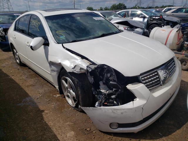 NISSAN MAXIMA SE 2006 with VIN 1N4BA41E66C818322 - Photo from auction