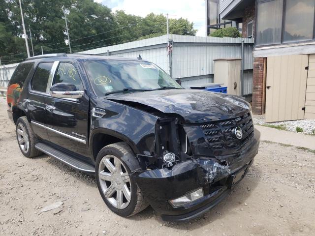 Photo 1 from auction – 2010 CADILLAC ESCALADE L with VIN 1GYUKBEF1AR149996