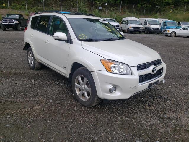 TOYOTA RAV 4 2009 with VIN JTMBK31V495077503 - Photo from auction