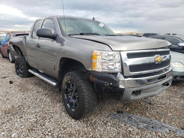 CHEVROLET SILVERADO 2009 with VIN 1GCEK19C59Z247378 - Photo from auction
