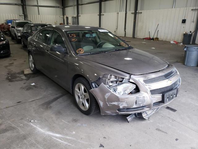 CHEVROLET MALIBU LS 2010 with VIN 1G1ZB5EB8A4147050 - Photo from auction