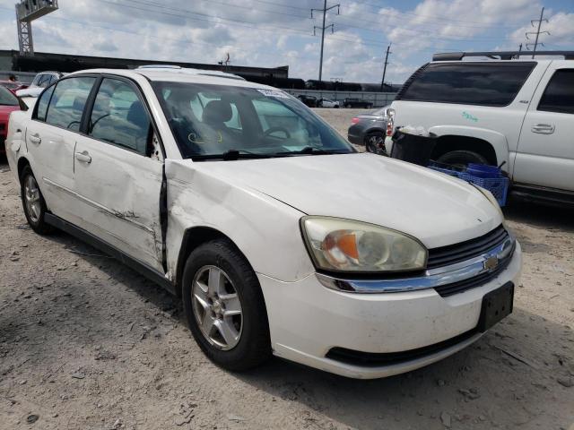 CHEVROLET MALIBU LS 2005 with VIN 1G1ZT54895F158328 - Photo from auction