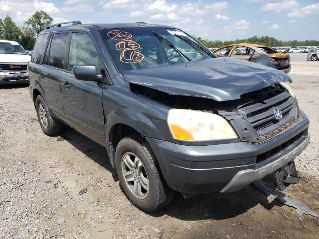 HONDA PILOT EXL 2005 with VIN 5FNYF18595B010526 - Photo from auction