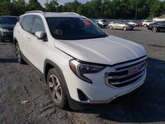 GMC TERRAIN SL 2020 with VIN 3GKALPEVXLL117282 - Photo from auction