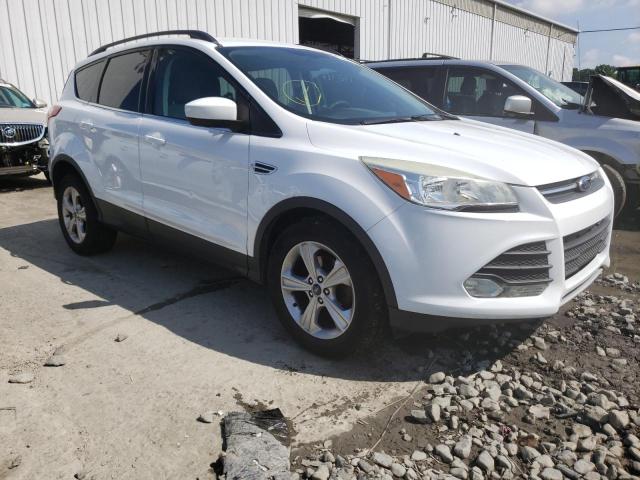 FORD ESCAPE SE 2014 with VIN 1FMCU0GX1EUB28263 - Photo from auction