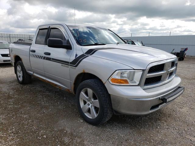 DODGE RAM 1500 2009 with VIN 1D3HV18T49S824293 - Photo from auction