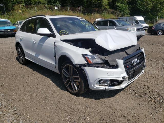 AUDI SQ5 PREMIU 2015 with VIN WA1CGAFP5FA093162 - Photo from auction