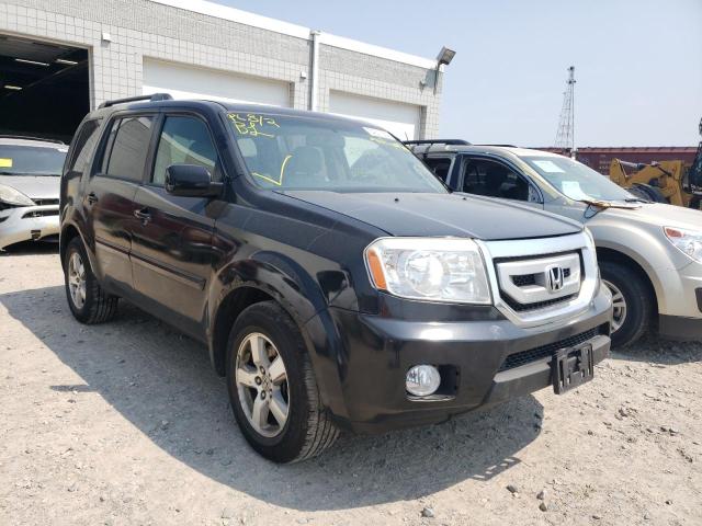 HONDA PILOT EXL 2009 with VIN 5FNYF48589B032721 - Photo from auction