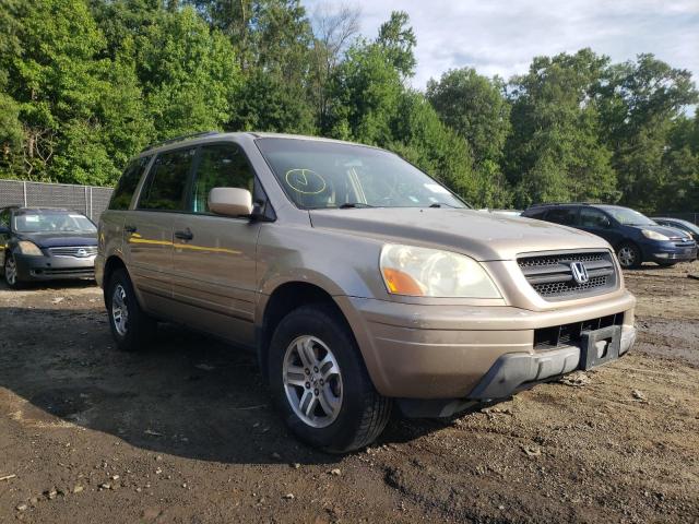 HONDA PILOT EXL 2004 with VIN 2HKYF18514H507313 - Photo from auction