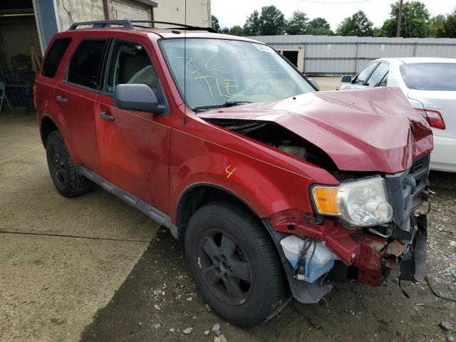 FORD ESCAPE XLT 2010 with VIN 1FMCU0D72AKA43071 - Photo from auction