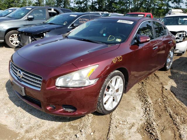 Photo 2 from auction – 2009 NISSAN MAXIMA S with VIN 1N4AA51E59C811366