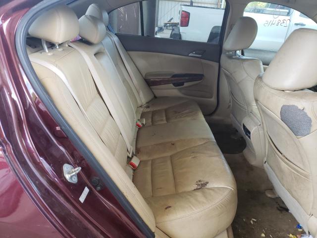 Photo 6 from auction – 2010 HONDA ACCORD EXL with VIN 1HGCP2F87AA094053