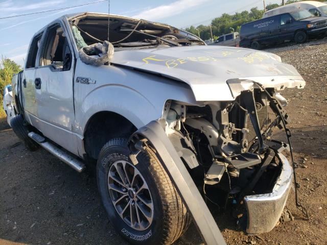FORD F150 SUPER 2013 with VIN 1FTFW1EF8DFB14360 - Photo from auction