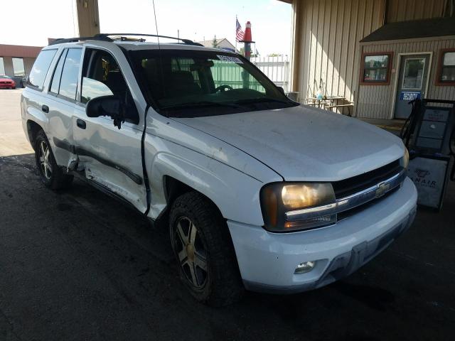 CHEVROLET TRAILBLAZE 2004 with VIN 1GNDS13SX42381016 - Photo from auction