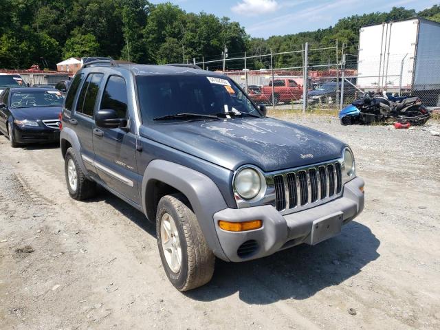Photo 1 from auction – 2002 JEEP LIBERTY SP with VIN 1J4GL48K72W275586