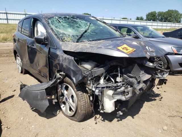 FORD ESCAPE SE 2014 with VIN 1FMCU0GX4EUD09745 - Photo from auction
