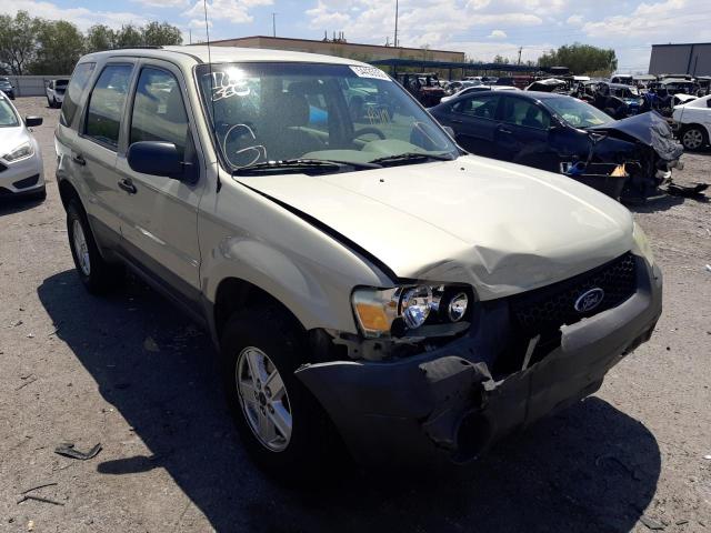 FORD ESCAPE XLS 2006 with VIN 1FMYU02Z76KA42869 - Photo from auction