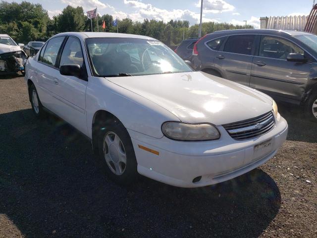 CHEVROLET MALIBU 2002 with VIN 1G1ND52J12M585009 - Photo from auction