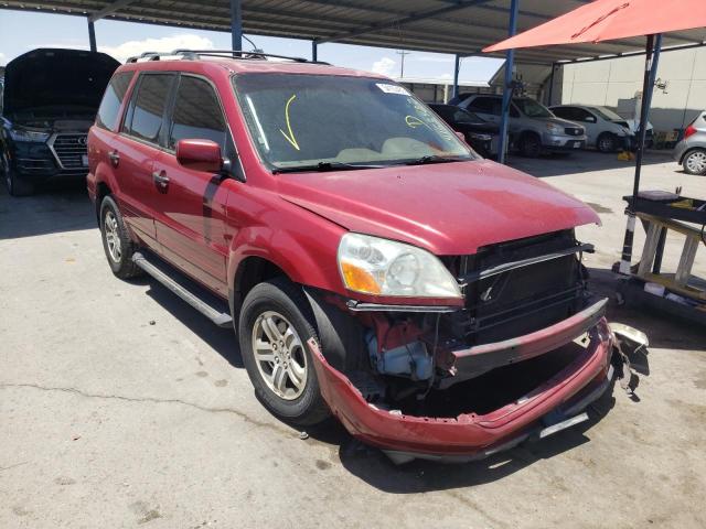 HONDA PILOT EXL 2005 with VIN 5FNYF18615B002381 - Photo from auction