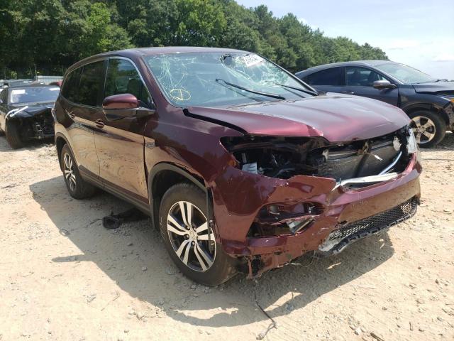 HONDA PILOT EXL 2018 with VIN 5FNYF5H5XJB033556 - Photo from auction