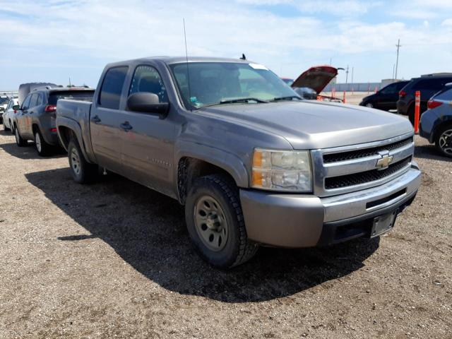 CHEVROLET SILVERADO 2009 with VIN 3GCEK13C09G249936 - Photo from auction