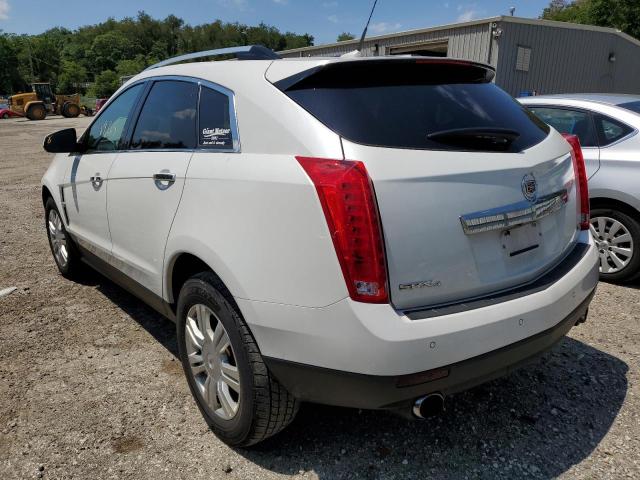 Photo 3 from auction – 2011 CADILLAC SRX LUXURY with VIN 3GYFNDEY7BS557849