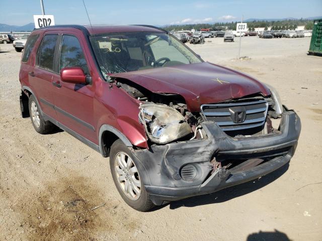 HONDA CR-V EX 2005 with VIN JHLRD78855C026651 - Photo from auction