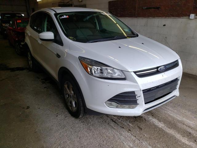 FORD ESCAPE SE 2014 with VIN 1FMCU9G91EUD59394 - Photo from auction
