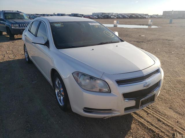 CHEVROLET MALIBU 2010 with VIN 1G1ZD5EB2AF133384 - Photo from auction