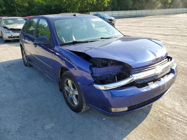 CHEVROLET MALIBU MAX 2005 with VIN 1G1ZU64865F261175 - Photo from auction