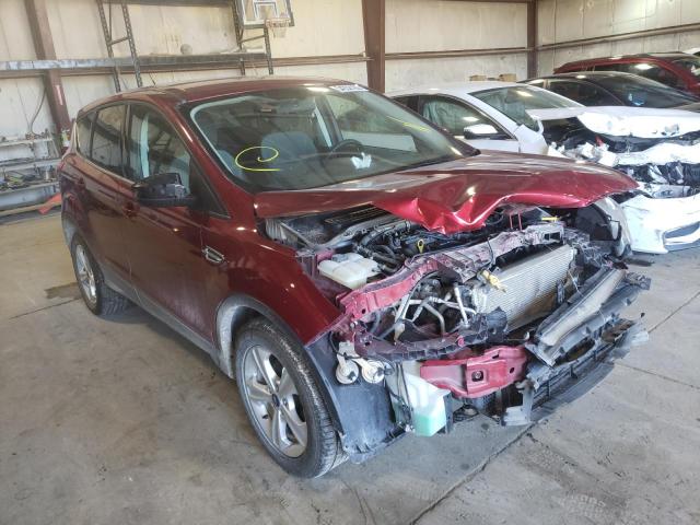 FORD ESCAPE SE 2014 with VIN 1FMCU0GX1EUC75697 - Photo from auction