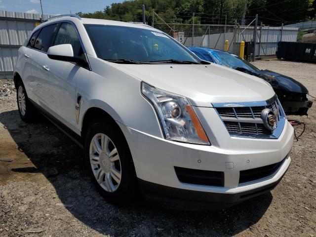 CADILLAC SRX LUXURY 2011 with VIN 3GYFNDEY7BS557849 - Photo from auction