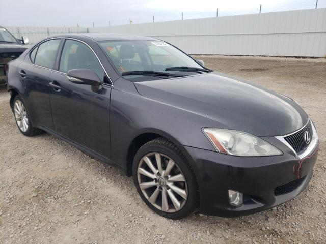 LEXUS IS 250 2009 with VIN JTHCK262995033332 - Photo from auction